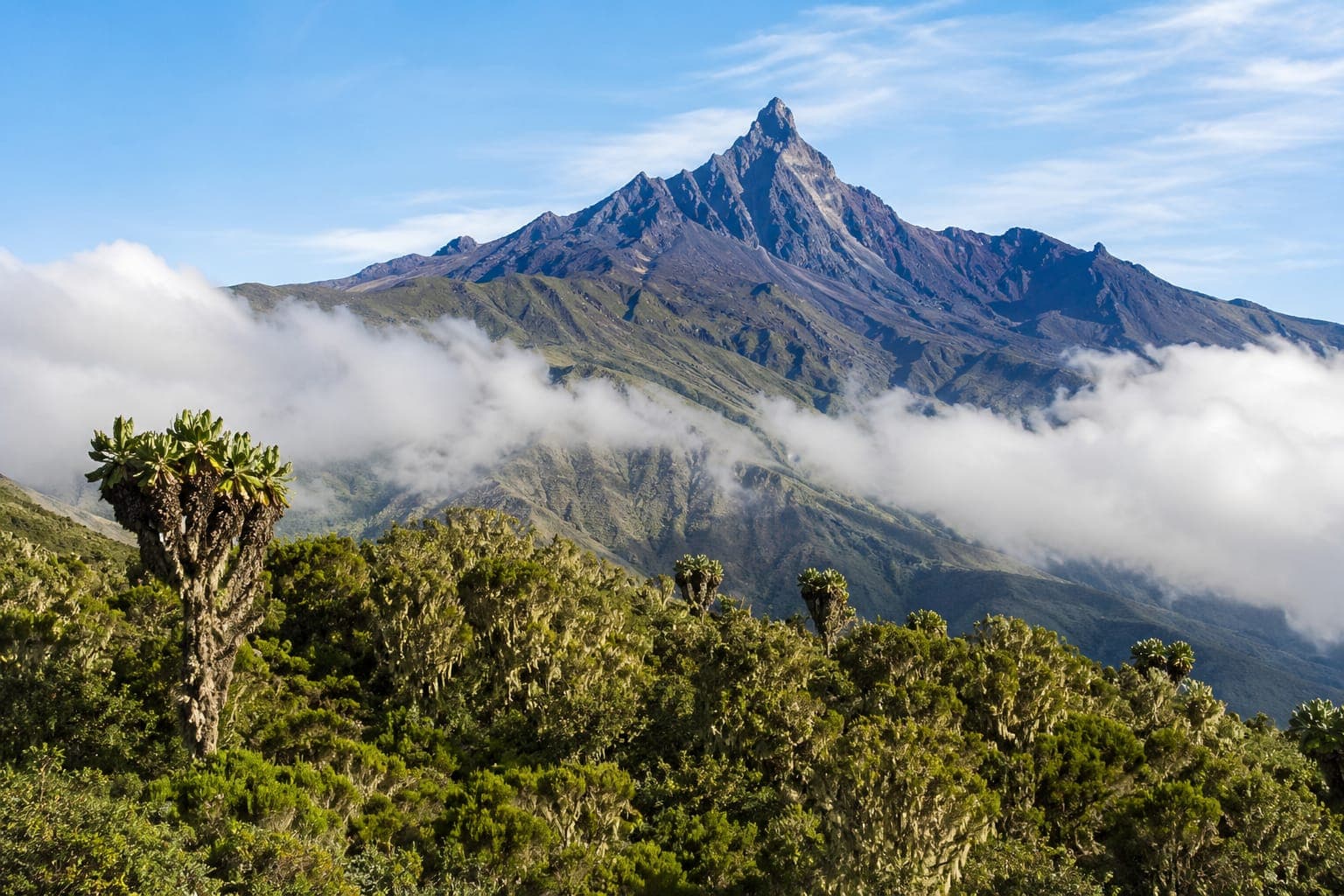 Arusha National Park