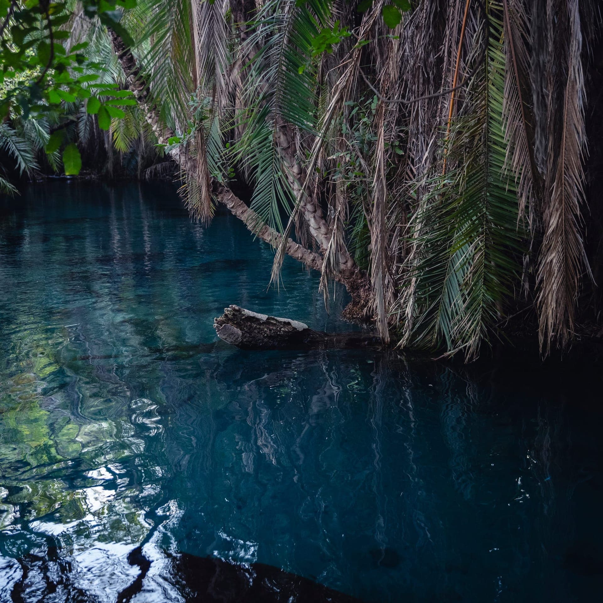 Chemka Hot Springs — photo 1