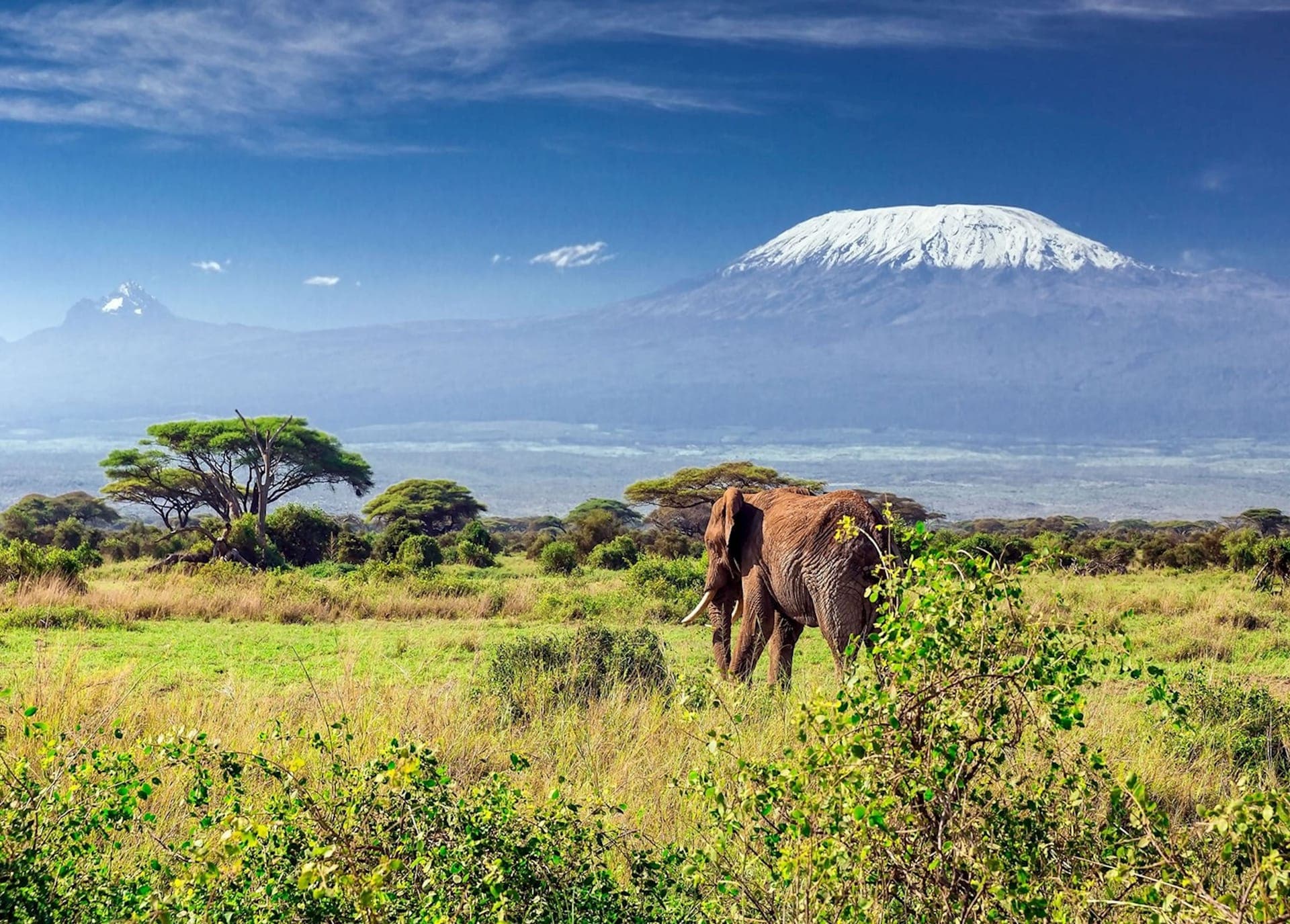 How to Train for Kilimanjaro: An 8-Week Plan That Works