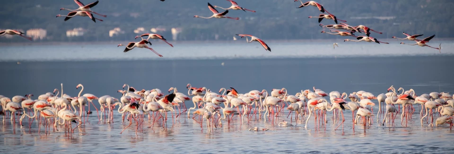 Lake Manyara National Park
