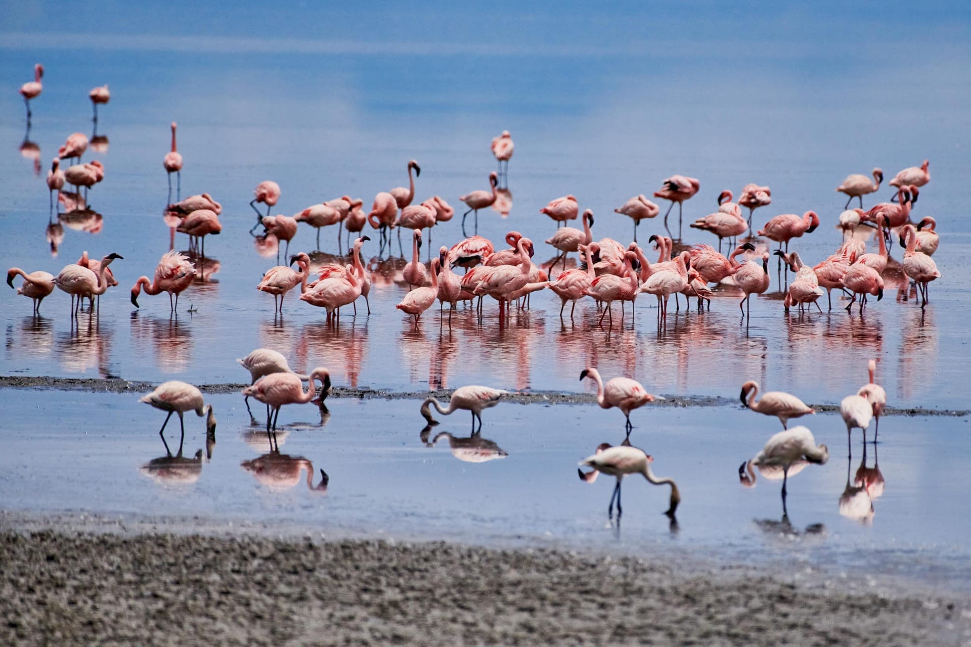 Ngorongoro Conservation Area — photo 6