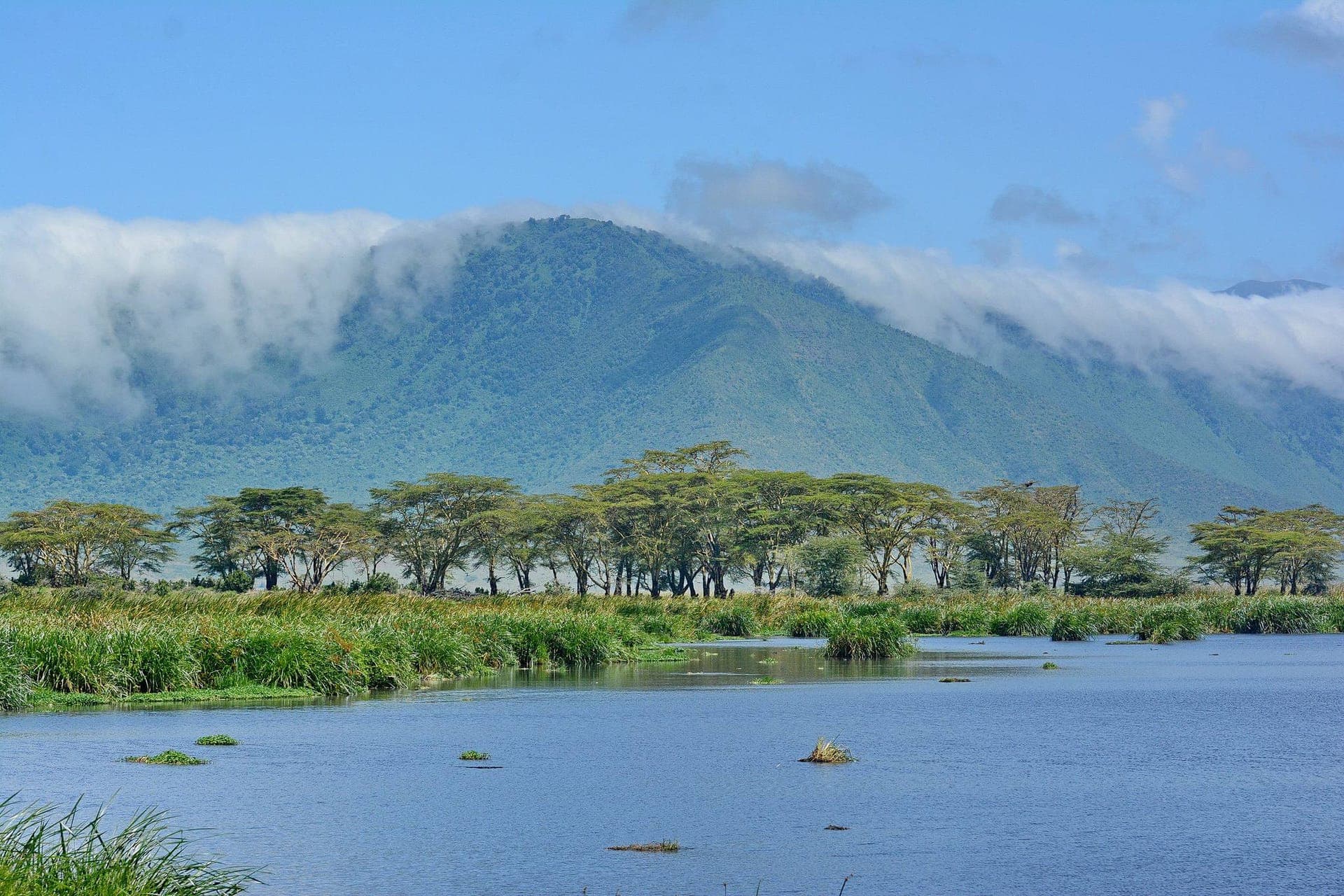 Ngorongoro Conservation Area — photo 3