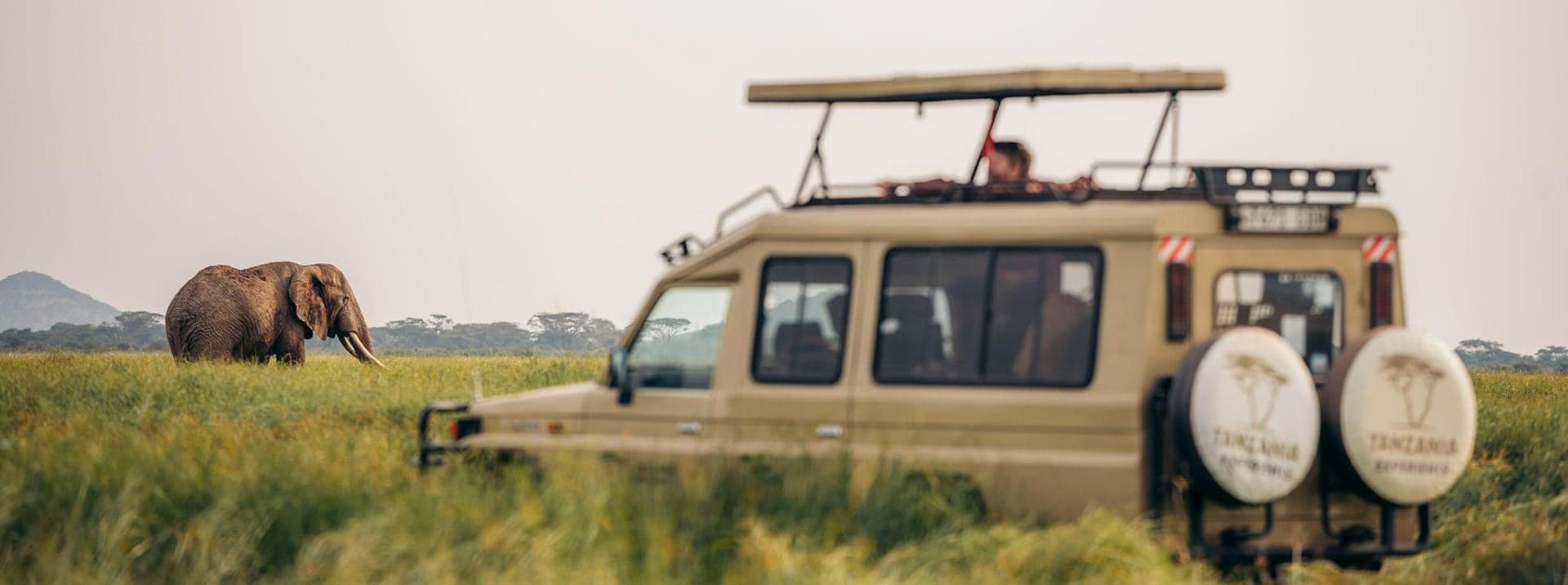 Your First Safari: Everything First-Timers Ask Us