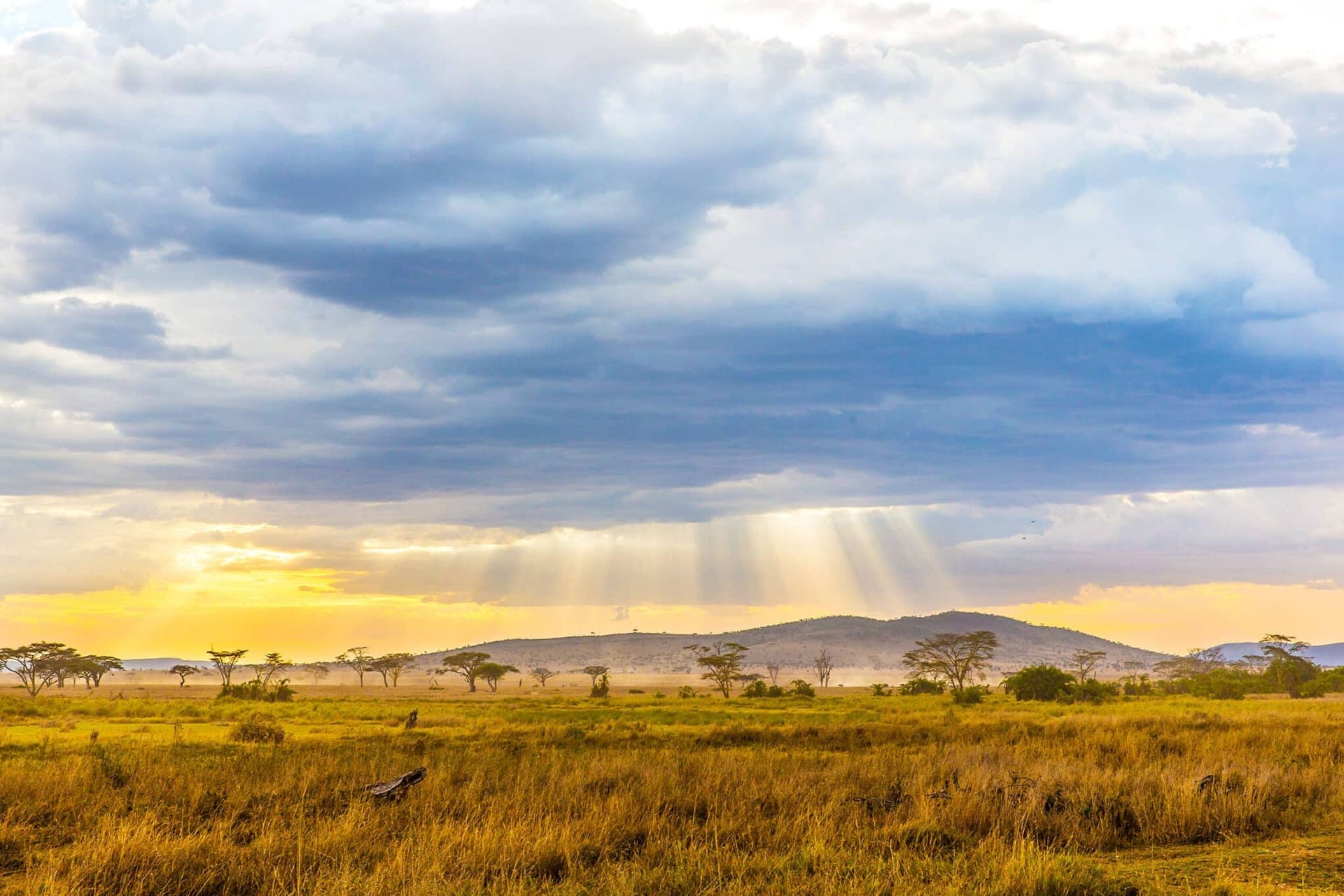 The Best Time to Visit Tanzania: Month-by-Month Safari Guide