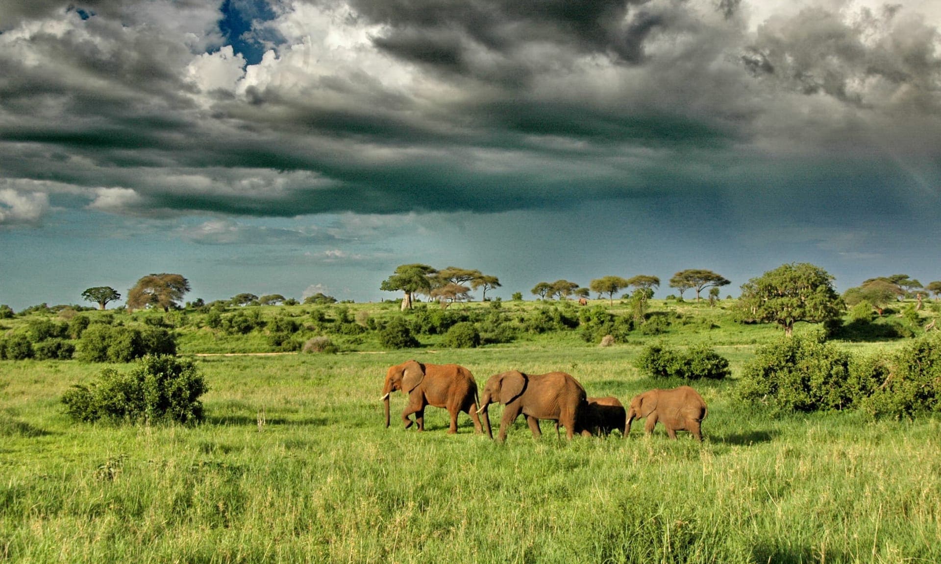 Tanzania Classic Circuit