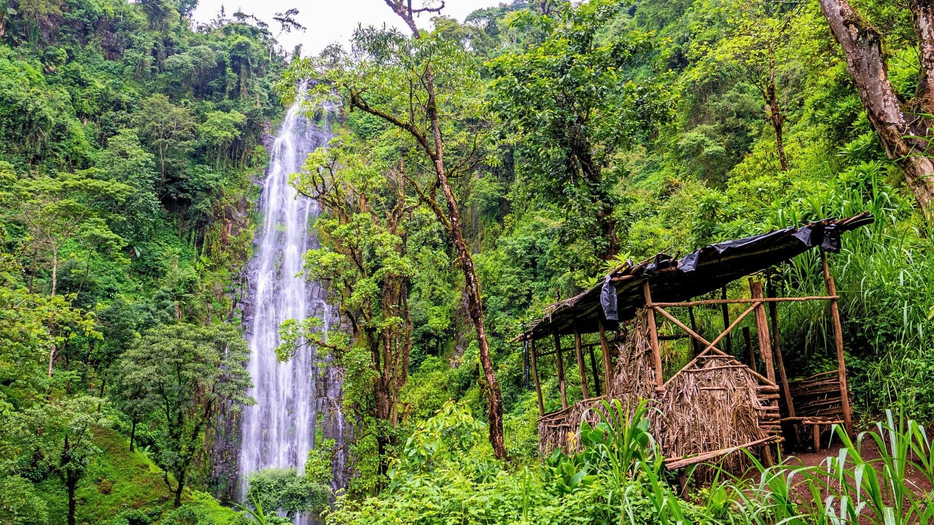 Coffee Farm Tours — photo 4