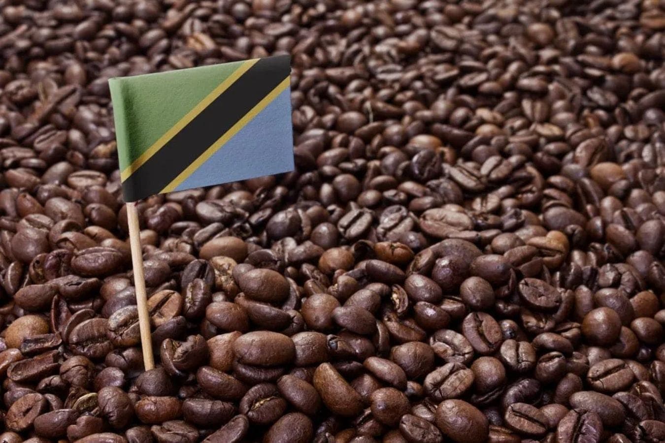 Coffee Farm Tours