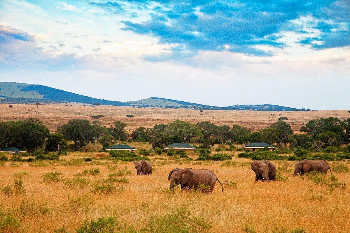 The Great Migration Safari day 6