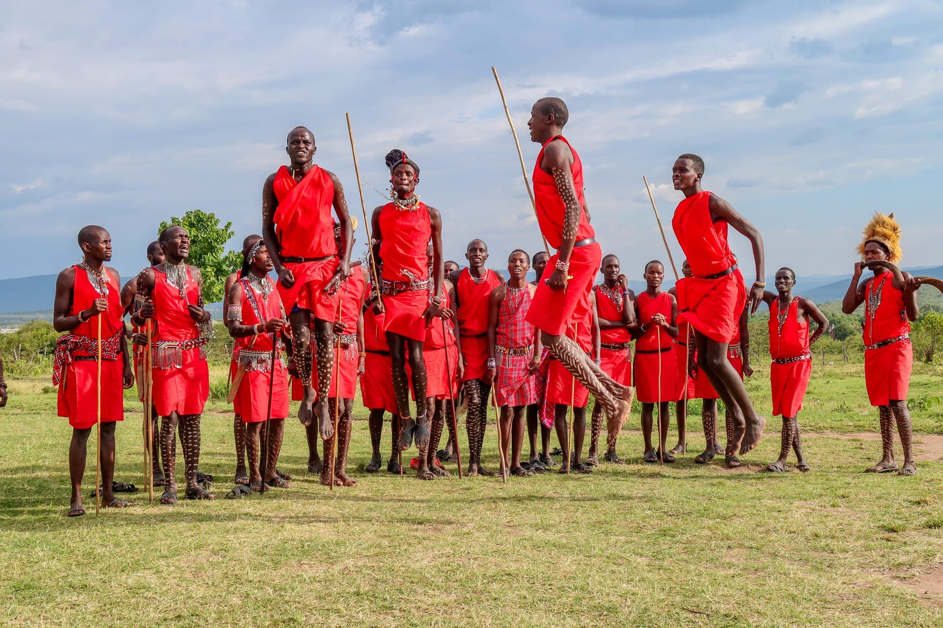 Beyond the safari