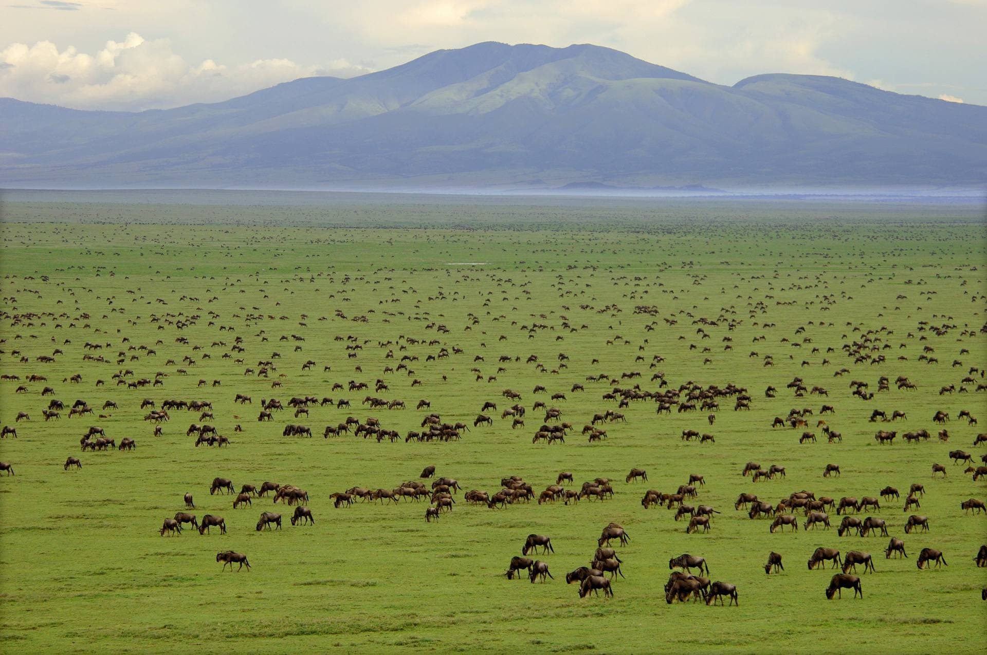 Seven worlds. One Tanzania.